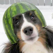 Melon Collie