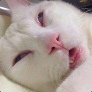 我就换个名字ye