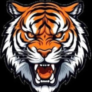 FlashTiger