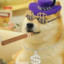 Dogecoin (DOGE)