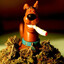 Dooby Scoo