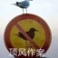 王ZnO