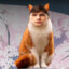 табачокdota ♡