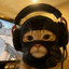 meow