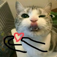 123