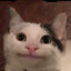 Portal here
