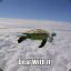 The Flying Turtle