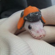 SpyTF2's Avatar