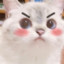 creampuff