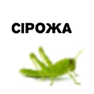 ЧУЮ НОСИКОМ