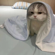 有些话，记得早点说