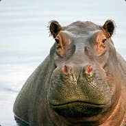 Nipplepotamus