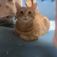 lukinayudita19959111