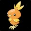 Torchic  ツ