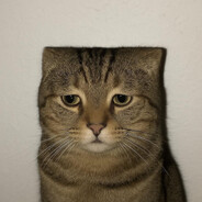 一口一粒花生米