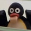 Pingu &lt;3