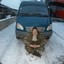 12345alfa12345