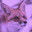 foxgirlgaming