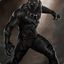 The Black Pantha