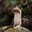 Whiskey Weasel
