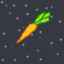 Carrot_in_Space