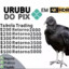 !URUBU DO PIX! (100% SEGURO!)