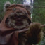 Ewok