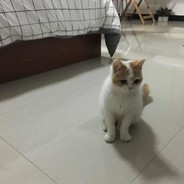 从不回头看爆炸