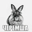 черемша
