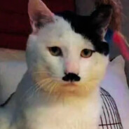 落榜美术生的奋斗