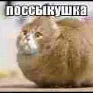 поссыкушка