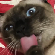 KORO_Darukun