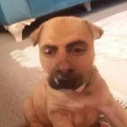 ★SydraLeon™ avatar