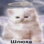 Бухломот