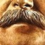 stalin_whiskers