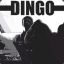 Dingo,legenda return