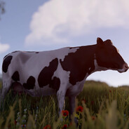 Cow