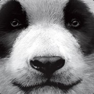 Panda ツ ☠