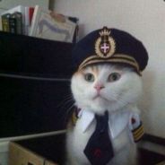 [Br9]Admiral_Kot