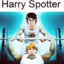 Harry Spotter