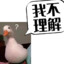 XiaoYang