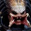 Predator
