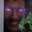 Bruh_Lore