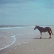 satanic(настоящий)