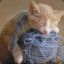 strcat