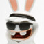 Arab Rabbid