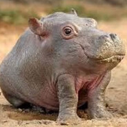 Mag1k - steam id 76561199812375205