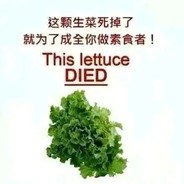 活下去，阿格尼