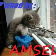 AmseL