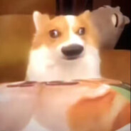 我看着像很聪明的样子吗？你问我为什么打不过